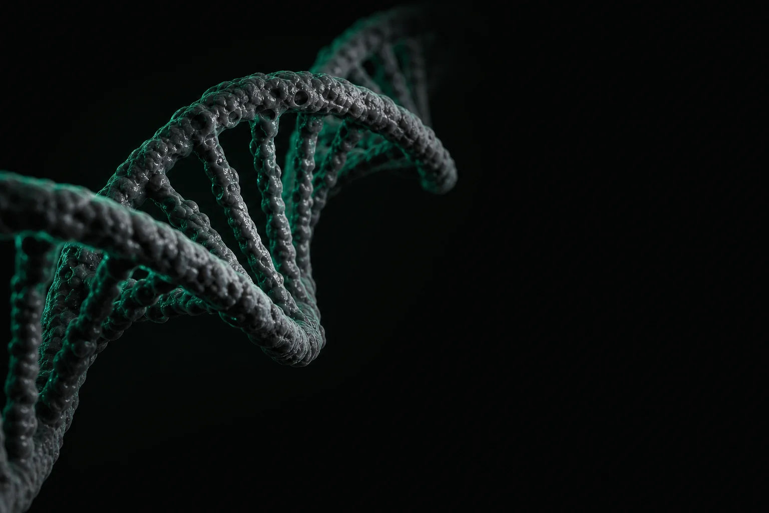 Macro visualization of a DNA double helix