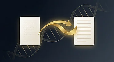 Convert a BCF to RAW file