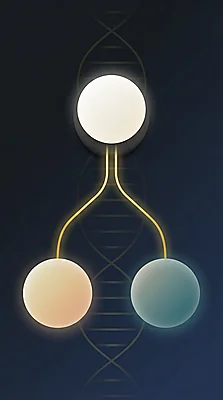 Phase your DNA (no parents files required)