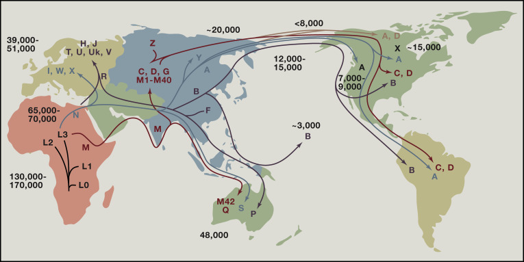 Haplogroup Map