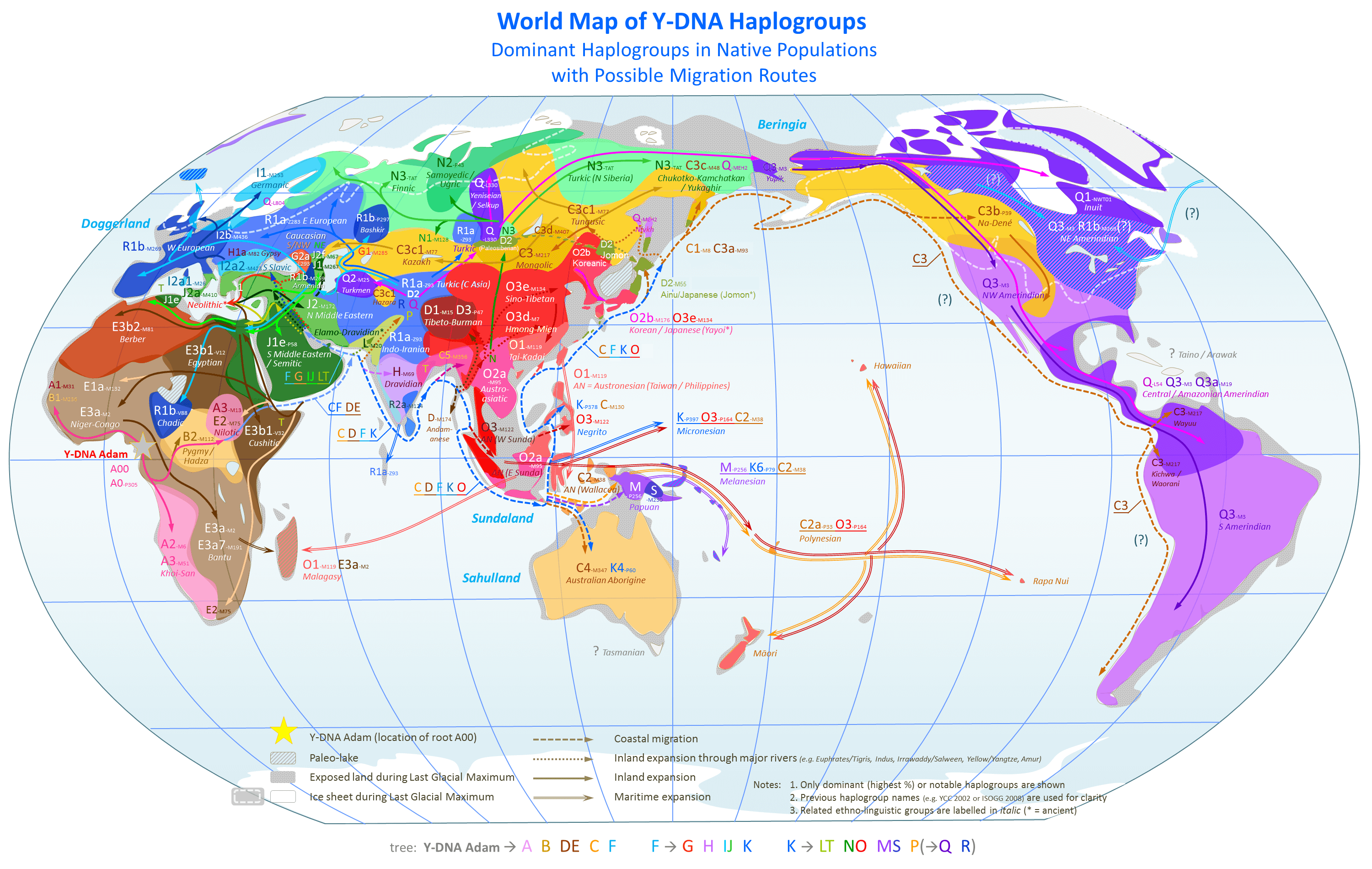 YDNA World Map