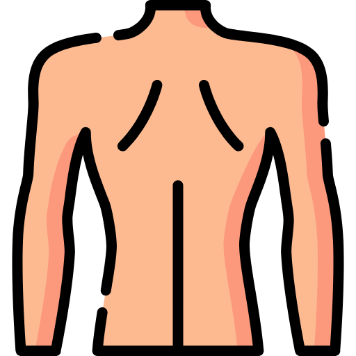 Lumbar disc disease susceptibility Icon