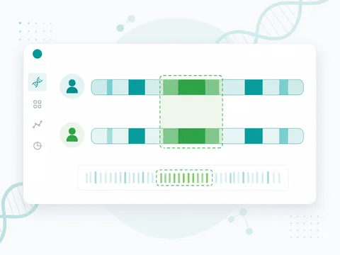 DNA Segment Comparator preview